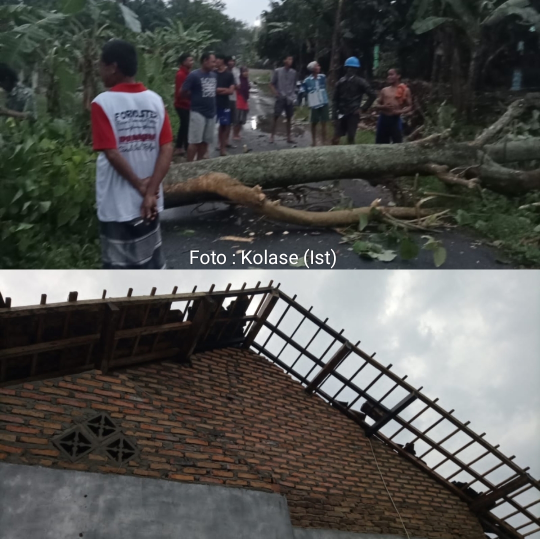 Puting Beliung Hantam Rumah Warga Sragi Hingga Tumbangkan Pohon ...